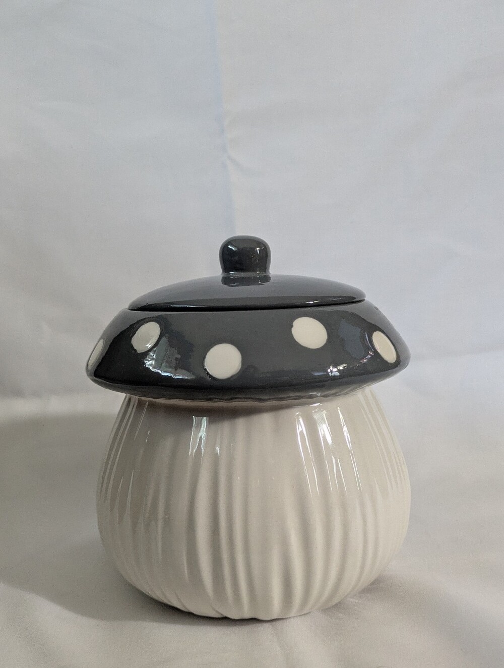 Small Mushroom Container